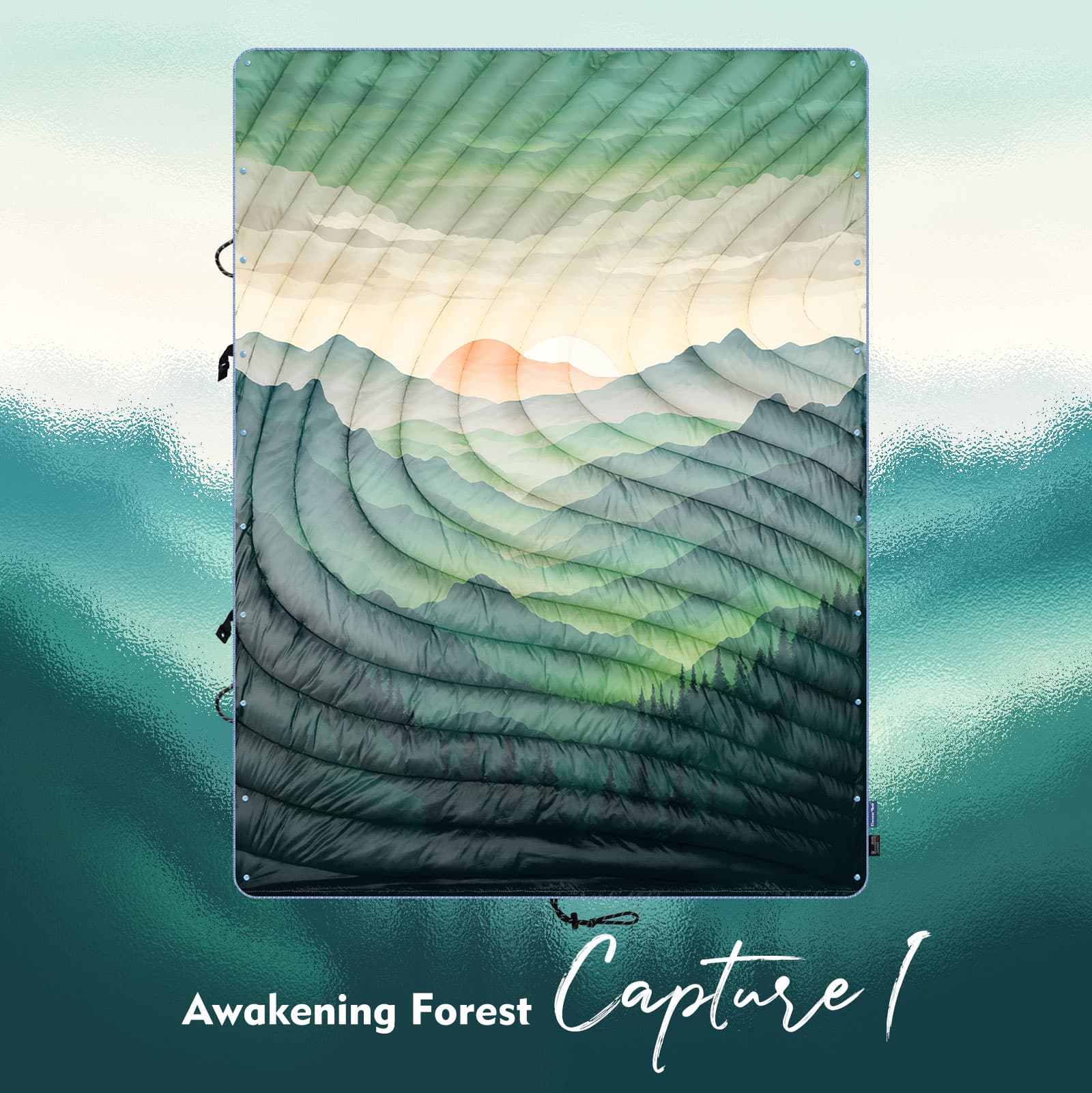 Awakening Forest - Capture I