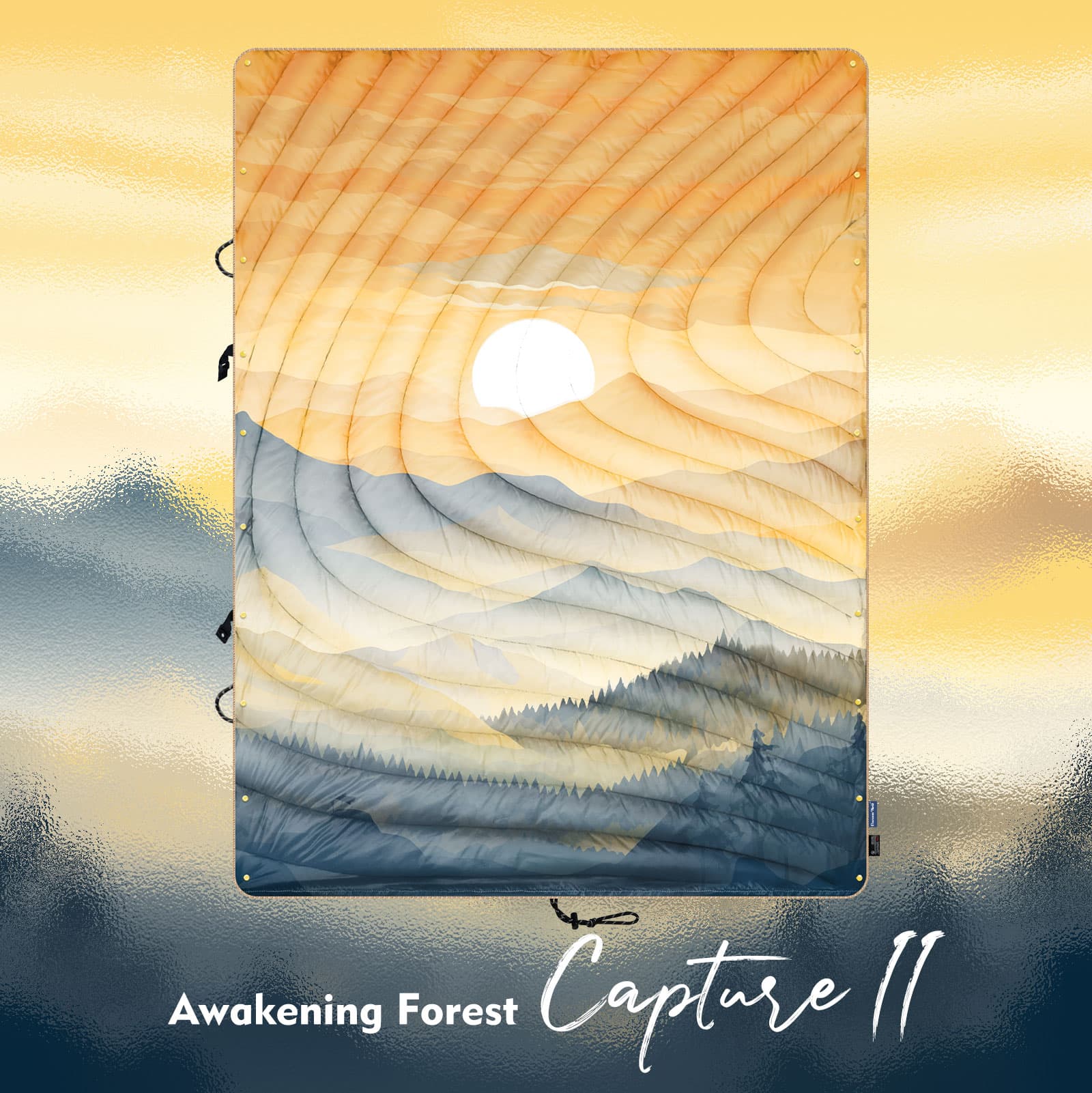 Awakening Forest - Capture II