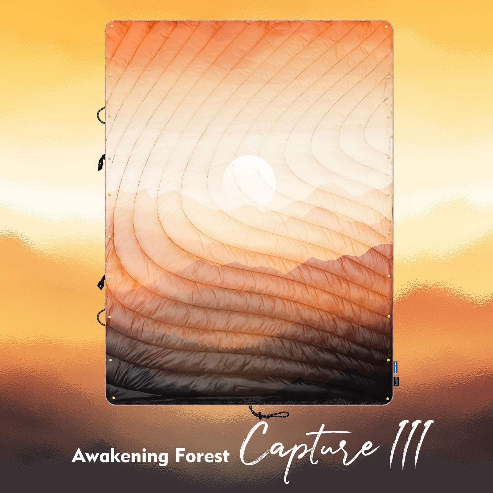 Awakening Forest - Capture III